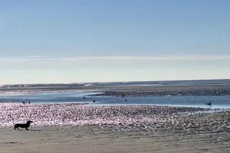 Berck sur Mer 9, Maison de plage en France près de la côte - Photo 36