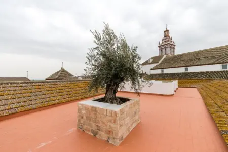 Casa Palacio de la Carrera, Palais de la course - Photo 1