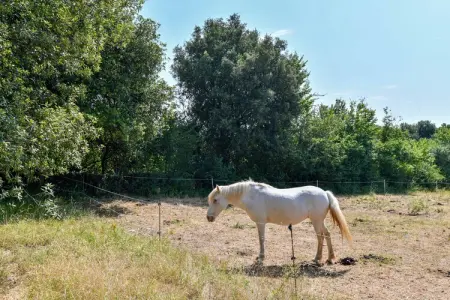 Chêne2 T3 - 6pax, Gîte dans un parc de vacances avec piscine - Photo 28