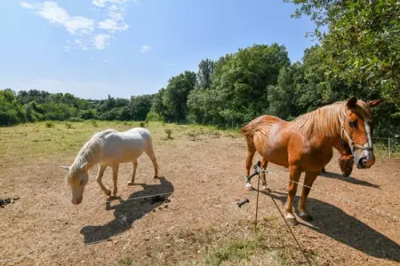 Chêne2 T3 - 6pax, Gîte dans un parc de vacances avec piscine - Photo 32