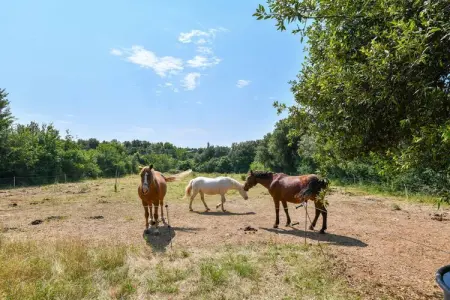 Chêne2 T3 - 6pax, Gîte dans un parc de vacances avec piscine - Photo 33