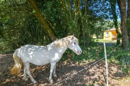 Chêne2 T3 - 6pax, Gîte dans un parc de vacances avec piscine - Photo 34