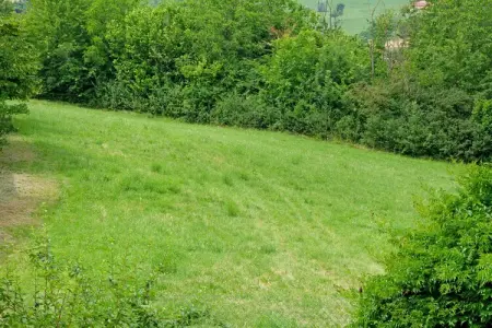 Casale Adriano Country House, Appartement à Casale avec vue sur vignobles - Photo 33