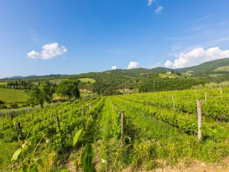 Casa 360, Maison 6 personnes à Greve in Chianti - Photo 37