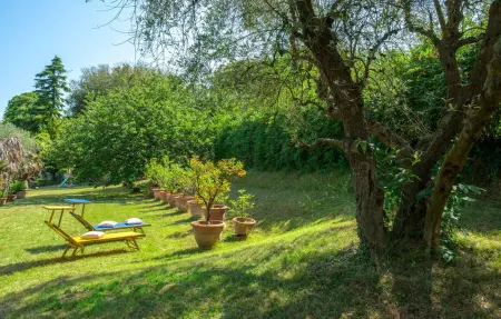 Maison 11 personnes à Rimini - Photo 4