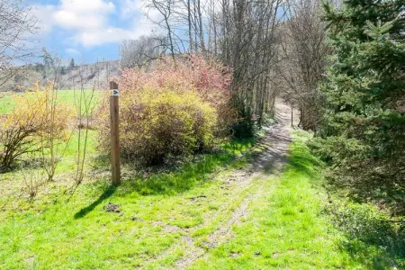 Moulin de Rahier, Séjour champêtre chaleureux, Stoumont - Photo 7