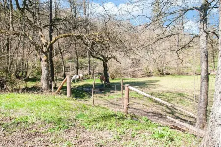 Moulin de Rahier, Séjour champêtre chaleureux, Stoumont - Photo 30