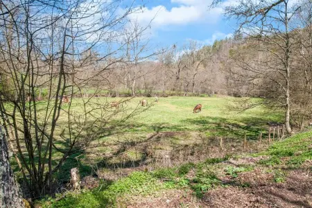 Moulin de Rahier, Séjour champêtre chaleureux, Stoumont - Photo 31