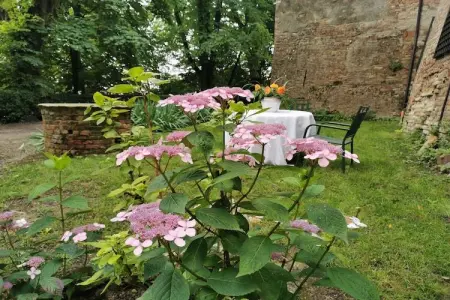 Castello di Robella, Séjour de charme au château, Robella - Photo 18