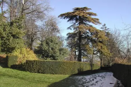 Castello di Robella, Séjour de charme au château, Robella - Photo 19