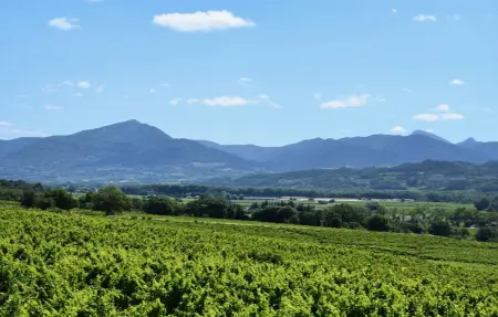 Maison 10 personnes à Vinsobres - Photo 21
