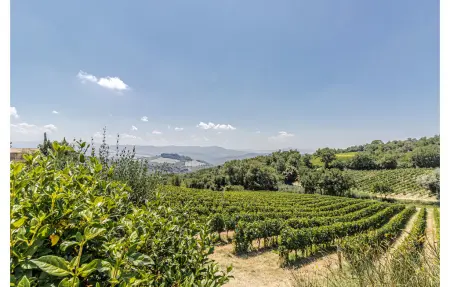 La Siroque, Maison 10 personnes à Montecatini Val di C. - Photo 64