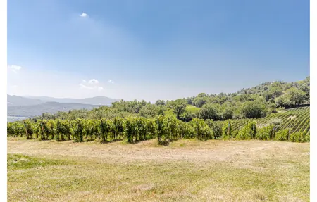 La Siroque, Maison 10 personnes à Montecatini Val di C. - Photo 66
