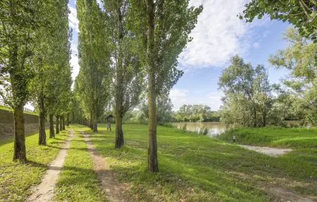 Maison 9 personnes à Ariano nel Polesine - Photo 7