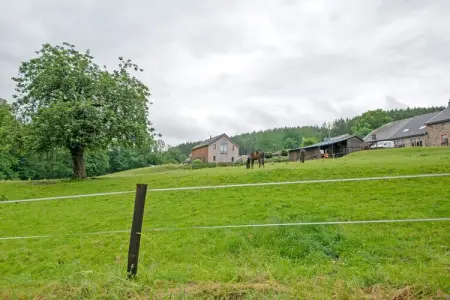Superbe maison de vacances pour 4 adultes, Maison de vacance pour 4 personnes
Gîtes non indépendants 
Le propriétaire habite au rez-de-chaussée - Photo 30