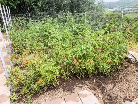 La Tordara, Maison 6 personnes à Monte Argentario - Photo 56