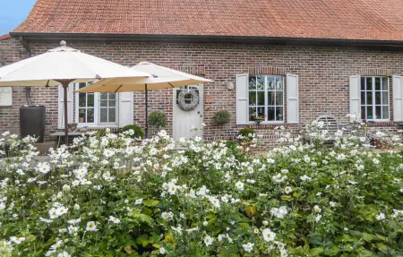 Maison 6 personnes à Kemmel - Photo 19
