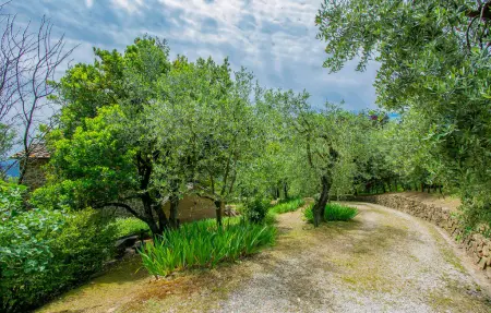 Maison 6 personnes à Buggiano - Photo 12
