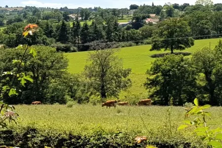 Authentieke Gîte in de Auvergne met zwembad en wellness, Appartement à 100 m de l'Atlantique. - Photo 7