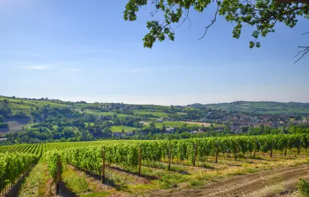 Discover Oltrepo, Maison 27 personnes à Fortunago - Photo 40