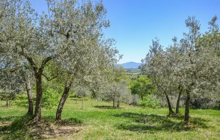 Maison 4 personnes à Monte San Savino - Photo 21