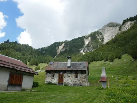Rustico Edel, Maison 4 personnes à Olivone - Photo 16
