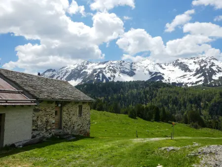 Rustico Dolomia, Maison 6 personnes à Olivone - Photo 4
