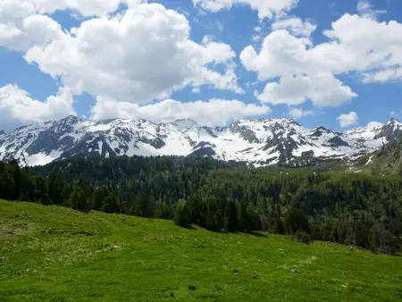 Rustico Dolomia, Maison 6 personnes à Olivone - Photo 12