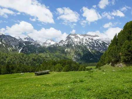 Rustico Dolomia, Maison 6 personnes à Olivone - Photo 18