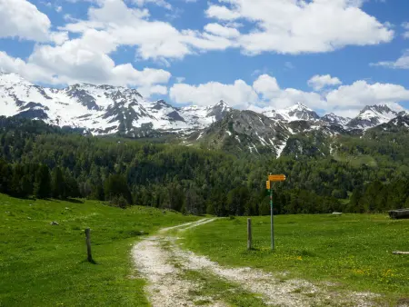Rustico Dolomia, Maison 6 personnes à Olivone - Photo 20