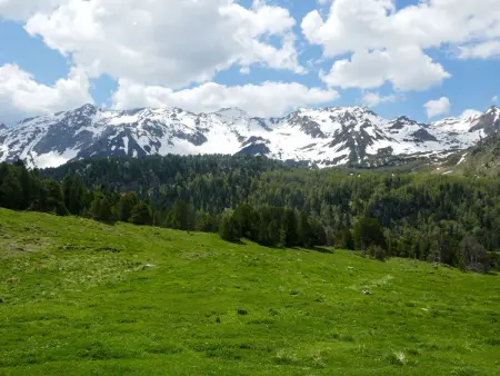 Rustico Dolomia, Maison 6 personnes à Olivone - Photo 22