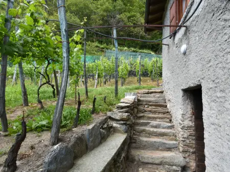 Rustico Rebustella, Maison 5 personnes à Valtellina - Photo 19