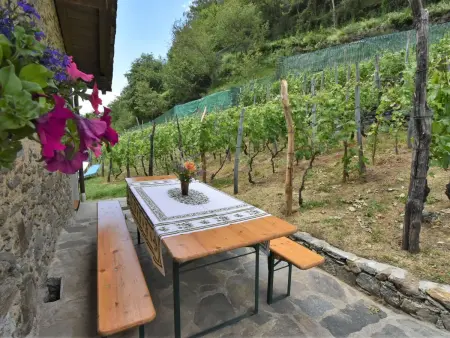 Rustico Rebustella, Maison 5 personnes à Valtellina - Photo 22