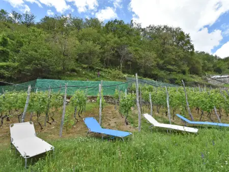 Rustico Rebustella, Maison 5 personnes à Valtellina - Photo 27
