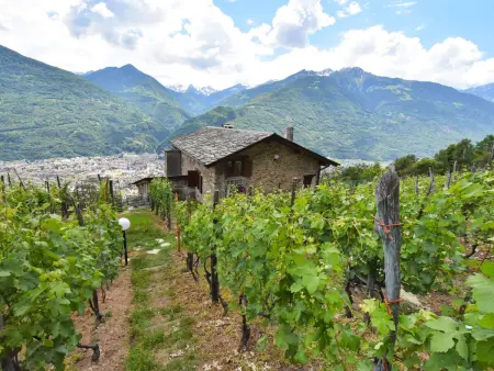 Rustico Rebustella, Maison 5 personnes à Valtellina - Photo 29