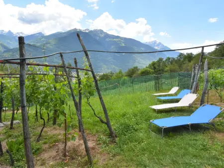 Rustico Rebustella, Maison 5 personnes à Valtellina - Photo 30