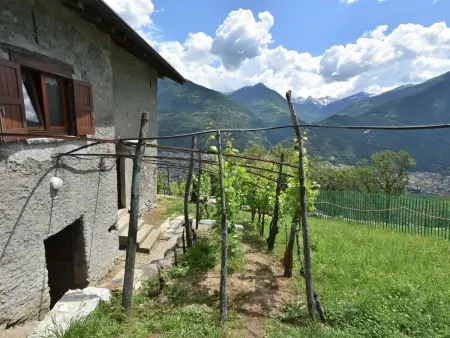 Rustico Rebustella, Maison 5 personnes à Valtellina - Photo 31