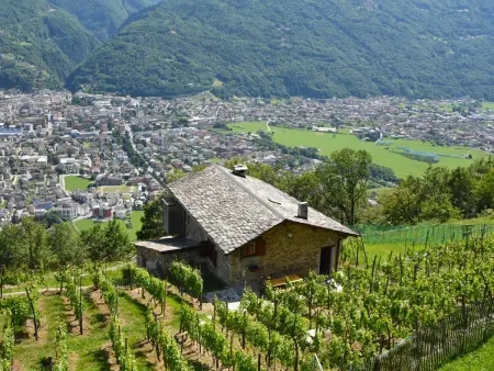 Rustico Rebustella, Maison 5 personnes à Valtellina - Photo 32