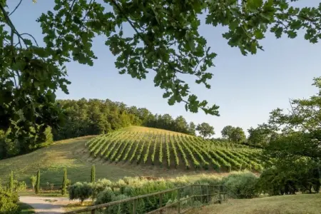 Bagnoletto, Orte Villa pour 8 personnes avec parking - Photo 20