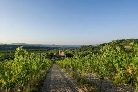 Bagnoletto, Orte Villa pour 8 personnes avec parking - Photo 28