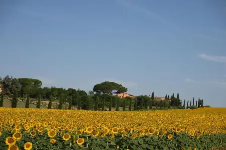 Luna Chiara, Villa avec piscine sur le lac de Chiusi - Photo 19