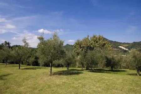 Ovello, Spacieuse maison de vacances à Brisighella - Photo 28