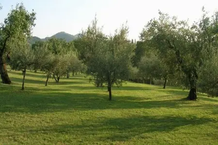Ovello, Spacieuse maison de vacances à Brisighella - Photo 31