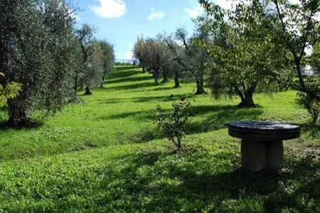 Podere Torre, Spacieuse villa toscane en retraite - Photo 36