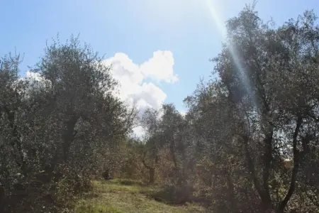 Podere Torre, Spacieuse villa toscane en retraite - Photo 38
