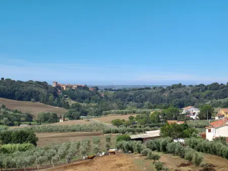 Il Fienile, Gite 8 personnes à Bibbona - Photo 81