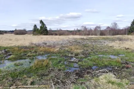 Le Coeur Des Fagnes, Escapade en Hautes Fagnes - Photo 35