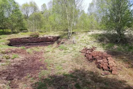 Le Coeur Des Fagnes, Escapade en Hautes Fagnes - Photo 36