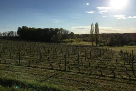 l'Hoste, Retraite familiale à Prats-du-Périgord - Photo 36