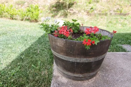 Tenuta Santa Rita - Torre di Ruggiero, Villa dynamique à Torre di Ruggiero avec sauna - Photo 31